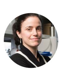 Photo of Elisa Konofagou, PhD